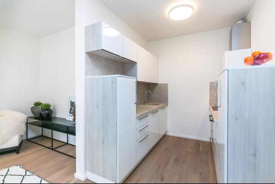 Flawless Apartments Pod Dekankou プラハ エクステリア 写真